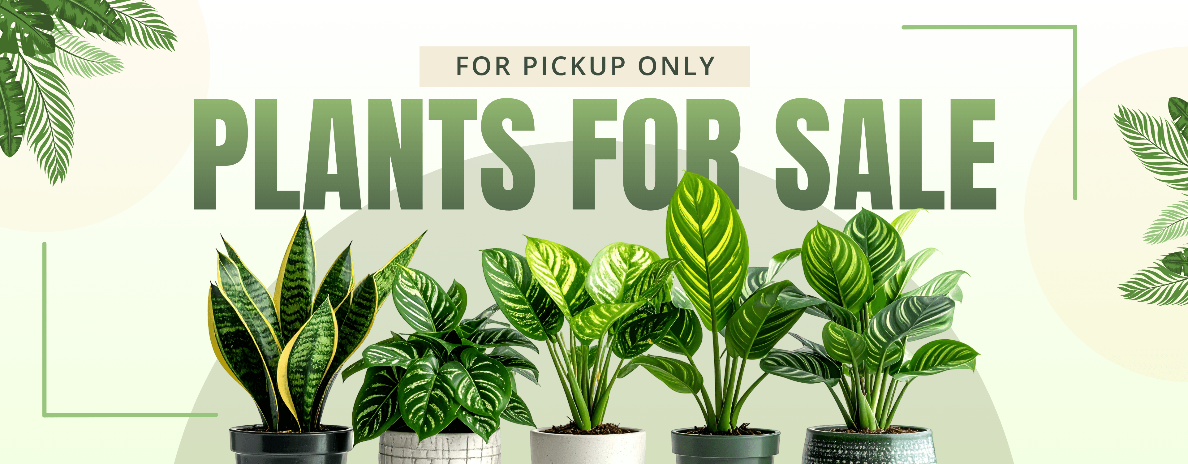 Plants Banner